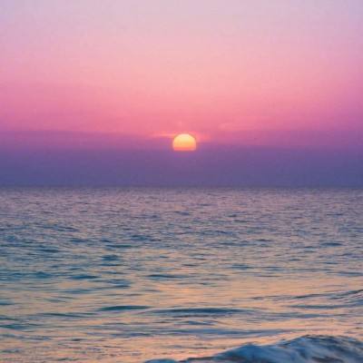 助赢软件手机app下载